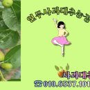 세중농장 이미지