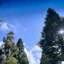 하이플레임 스테이 | 선재도 애견동반펜션 하이플레임스테이(애견수영장 있음)