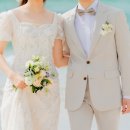 소피토제주 이미지