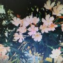 유리아이 이미지