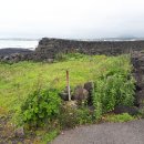 삼양환해장성 이미지