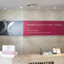 피그마리온의원 이미지