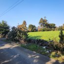 신천리-1 이미지