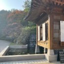 은행나무로(송현동) 이미지