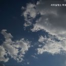 마포민크린