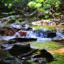 생곡리 미약골 이미지