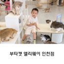 숙골로 88번길R | 인천 아이와 가볼만한곳 부타캣 앨리웨이 인천점 고양이카페 방문후기