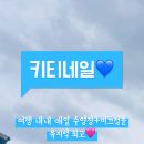마벨르네일 이미지