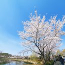 신월농장야채 | [하루일기] 어느 4월의 나들이: 팽오리농장, 서서울호수공원