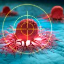 41590-01-01-17 이미지