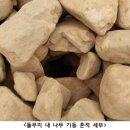 나무와 문화연구소