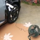 제시 펫 살롱 이미지