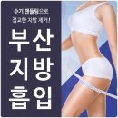 광안카클리닉 | 부산지방흡입비용+후기까지 체크해야되는 이유