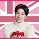 더 브리티쉬 이미지