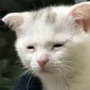 경기경영고등학교 | [경기 경영고등학교] 첫 토익 시험 후기