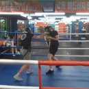 수원동양복싱 이미지