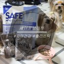 세이에프 이미지