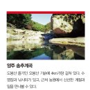 중원 이미지