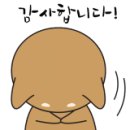 이든 동물의료센터 이미지