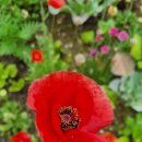 만땅부동산공인중개사사무소 이미지