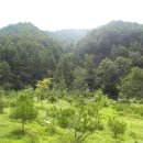 푸른산농원