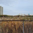 호수공원 제1주차장 공중화장실 이미지