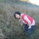 동박골농장 이미지