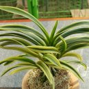 김정우 농장 이미지