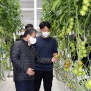 호남 스마트 팜 이미지