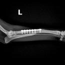 하남동물병원 이미지