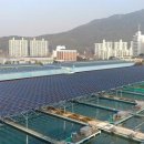 화전태양광 발전소 이미지