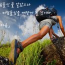 디딤돌