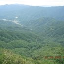 [5월4일]상해봉-광덕산-박달봉(1.046m 포천/철원) 조망일품/산나물산행지 이미지