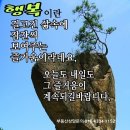 토성면            행정복지센터 이미지