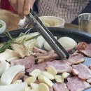 남강오리알 이미지