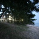 베이테라스 이미지