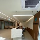 감일정형외과의원 이미지