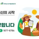 농수산물도매시장(원협공판장) 이미지