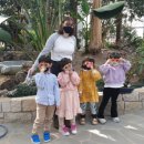 석모도수목원 이미지