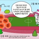에너지원