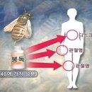 장형석한의원 이미지