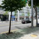 사임당로1-1 이미지