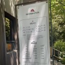 가볼만한 제주 서쪽 여행 포토존 코스 추천 (오설록티하우스/카멜리아힐/사계해안/쇠소깍)