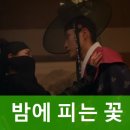 종로-종로-종로-종-318 | 밤에 피는 꽃 촬영지 장소 원작 웹툰 결말 줄거리! (등장인물 관계도)