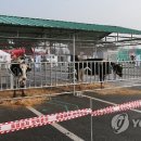 상방농장 이미지