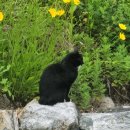 죽전야외음악당 이미지