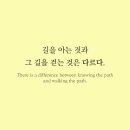 디자인온도 이미지
