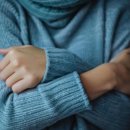 플라베스 이미지