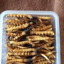 말무리목장 이미지