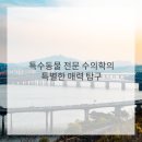 냥이친구 이미지
